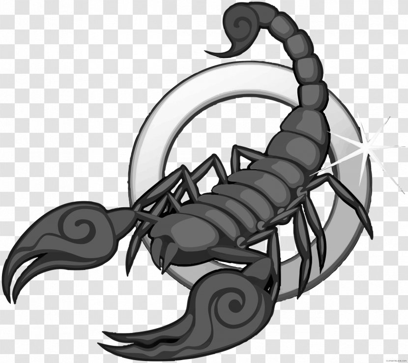 Scorpion Signs Of The Zodiac: Scorpio Astrological Sign Clip Art - Sagittarius Transparent PNG