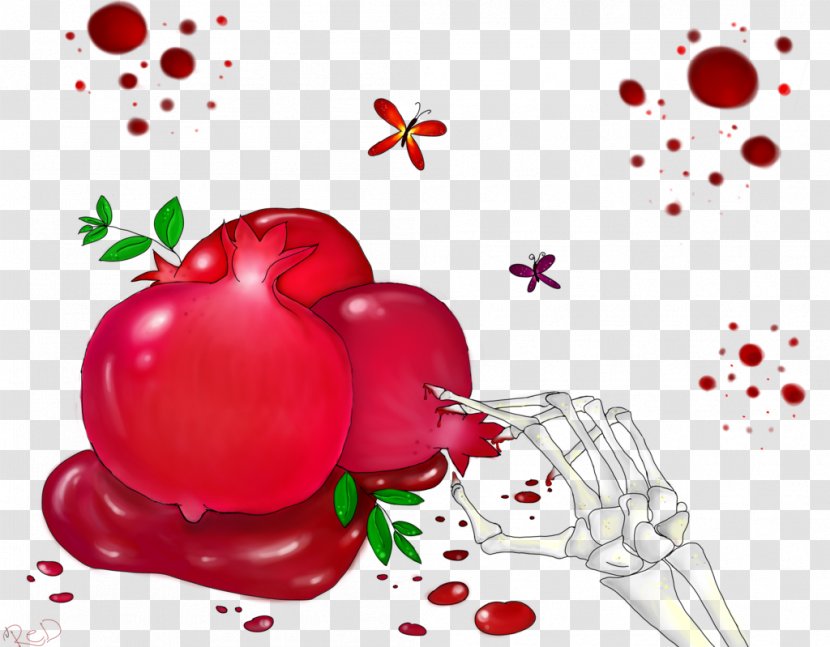 Food Cranberry Still Life Photography - Flower - Pomegranate Transparent PNG