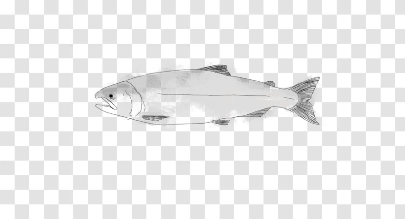Product Design Fish - Superior Coho Salmon Transparent PNG