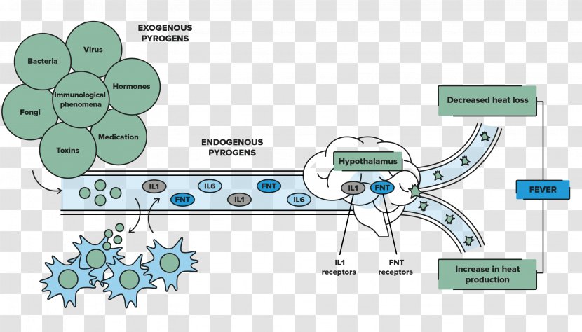 Tree Technology Point - Diagram - Foot Bacterial Virus Transparent PNG