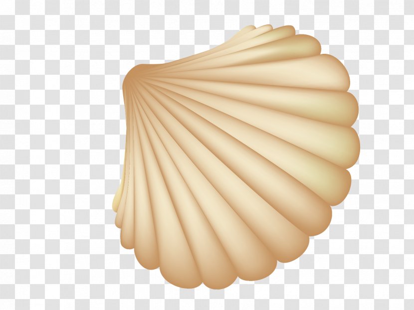 Seashell Computer File - Conch - Beautiful Seashells Vector Transparent PNG