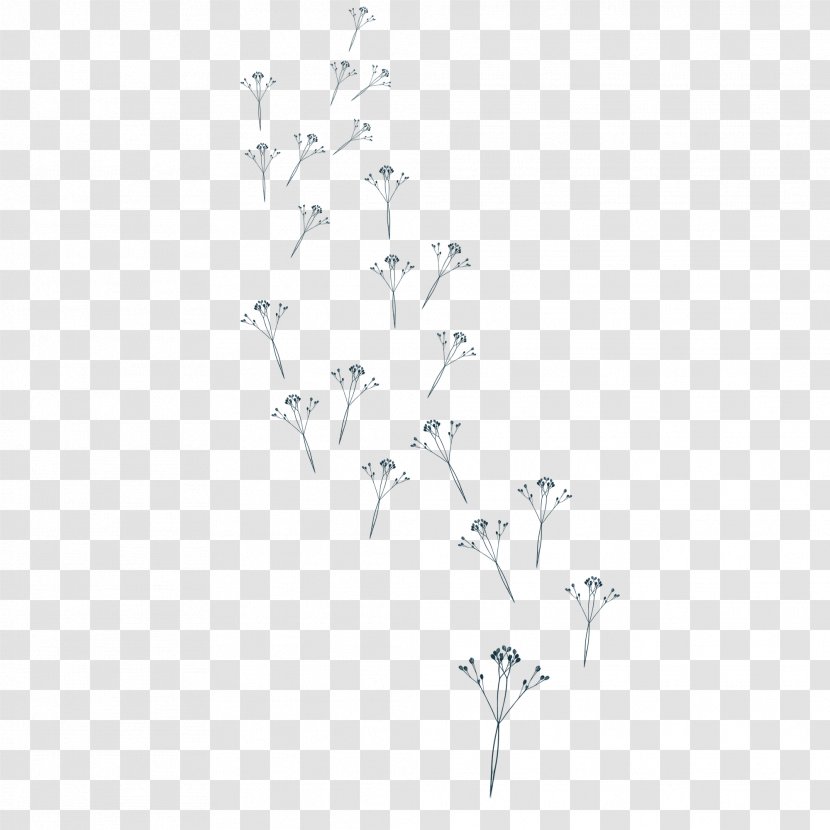 White Black Angle Pattern - Point - Floating Dandelion Transparent PNG