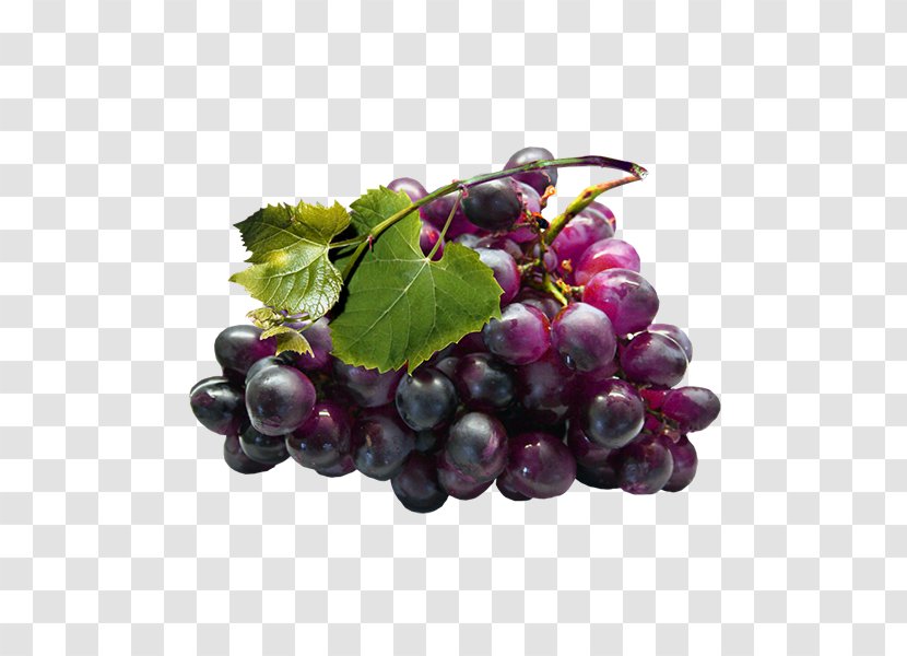 Grape Seed Extract Grapevines - Zante Currant Transparent PNG
