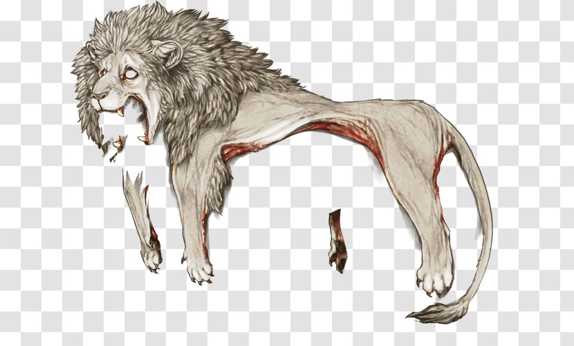 Lion Gray Wolf Fur Leopard Jaguar - Fang Transparent PNG