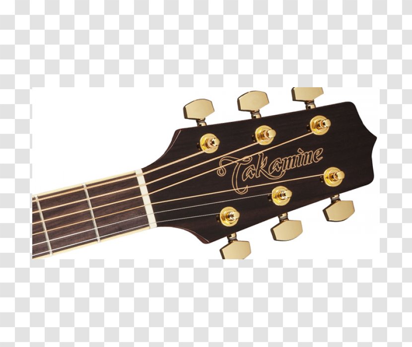 Acoustic Guitar Acoustic-electric Takamine Guitars Cutaway - Tree Transparent PNG