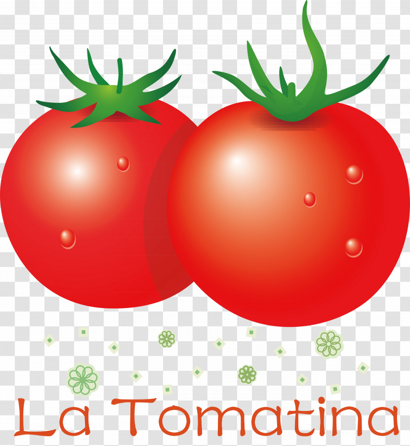 La Tomatina Tomato Throwing Festival Transparent PNG