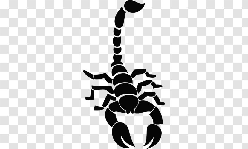 Scorpion Tattoo Artist Decal Drawing - Ink Transparent PNG