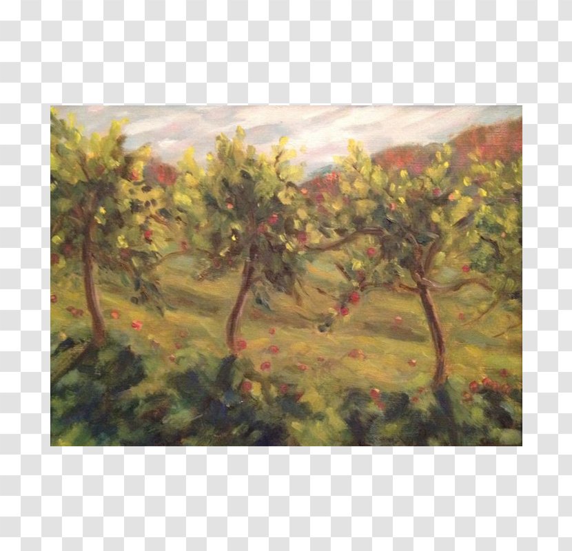 Painting Landscape Tree Branching - Orchard Transparent PNG