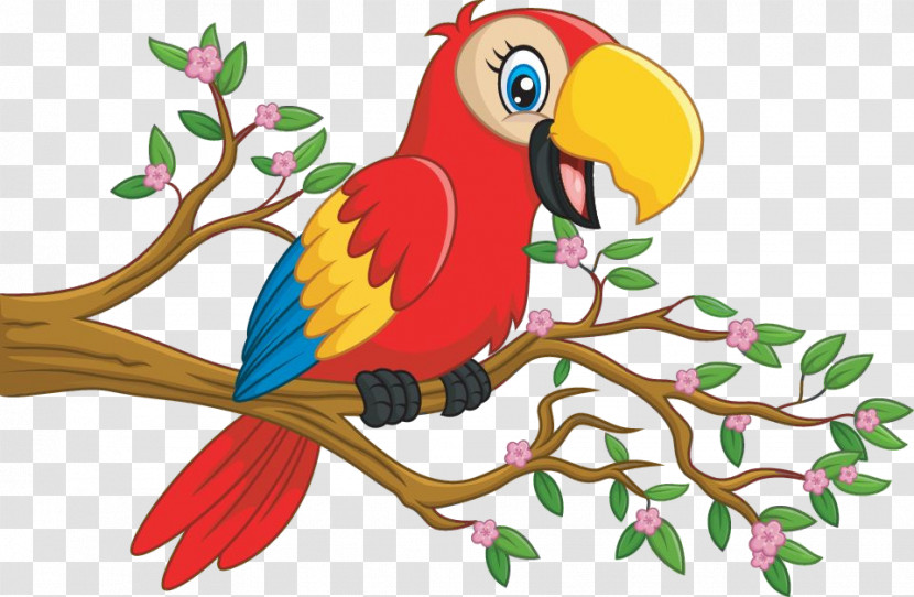 Bird Macaw Parrot Branch Beak Transparent PNG