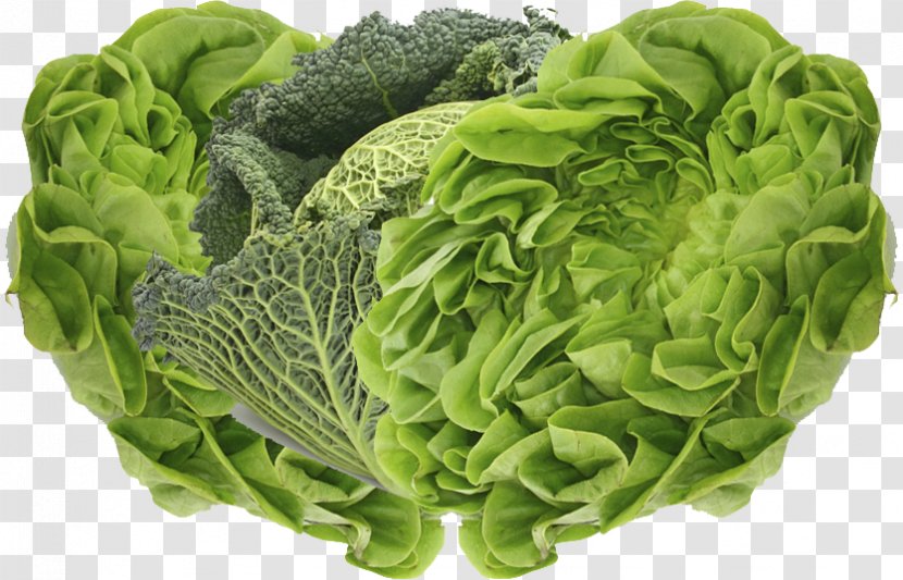 San Luis Valley Organic Food Vegetable Broccoli - Superfood - Lettuce Transparent PNG