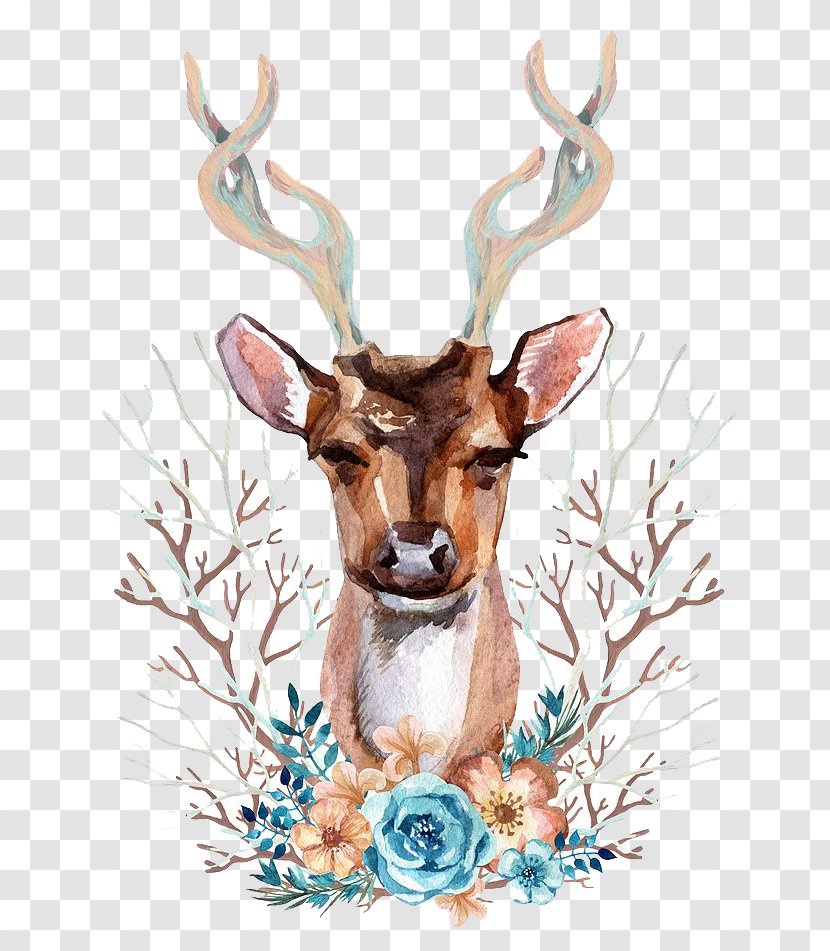 Reindeer Red Deer Illustration - Photography - Watercolor Transparent PNG