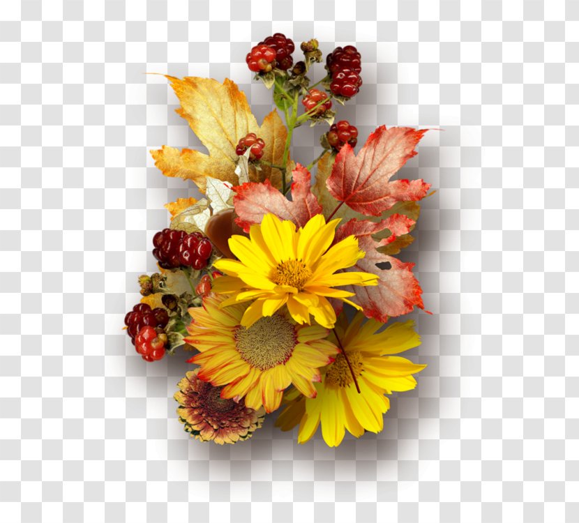 Flower Autumn Photography - Stereoscopy - Retro Floral Plant Material Free Matting Transparent PNG