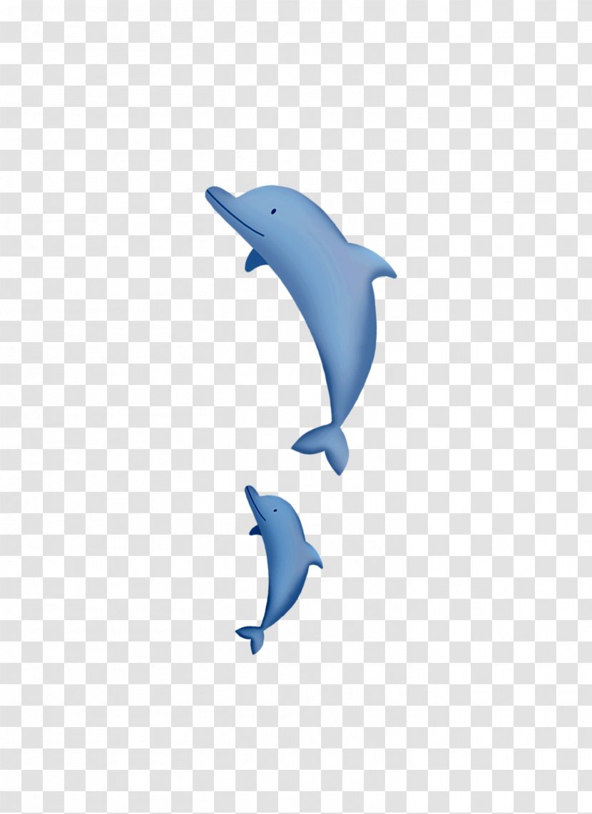 Common Bottlenose Dolphin Tucuxi - Electric Blue Transparent PNG