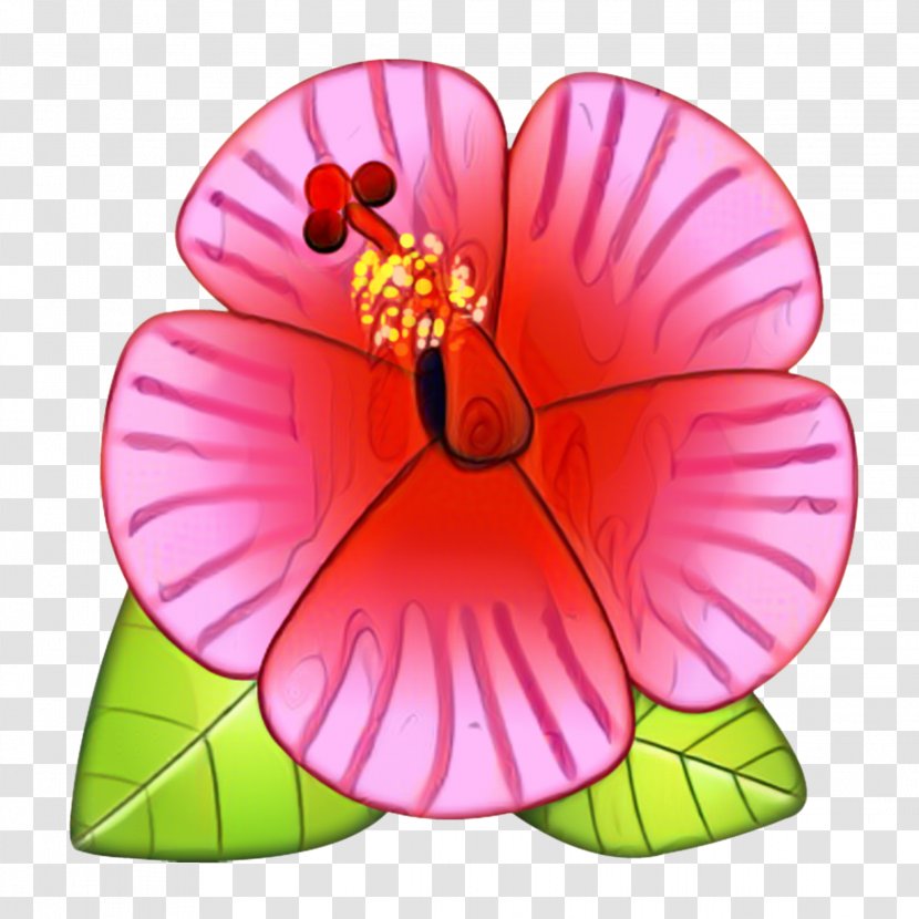 Pink Flower Cartoon - Moth Orchid - Mallow Family Transparent PNG