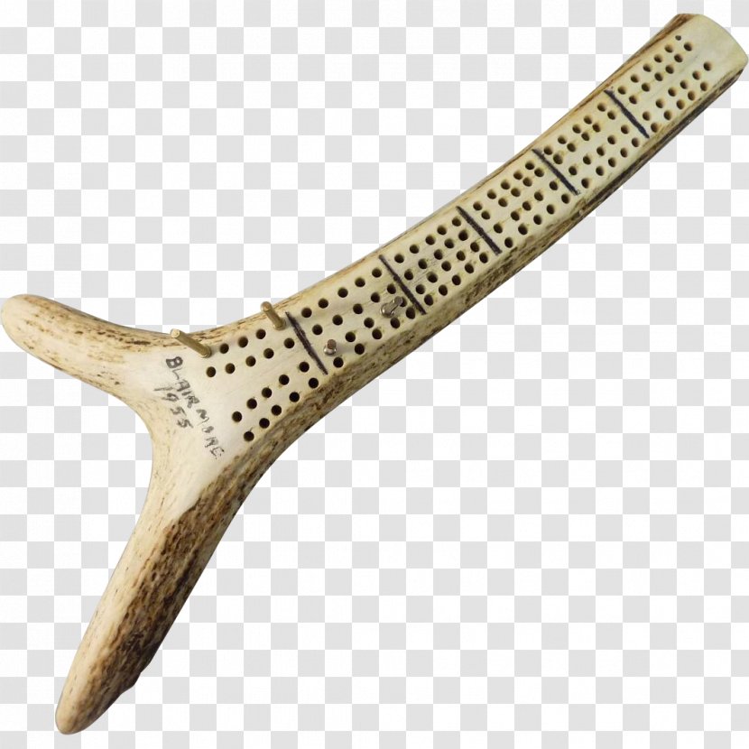 Wood /m/083vt - Antler Transparent PNG