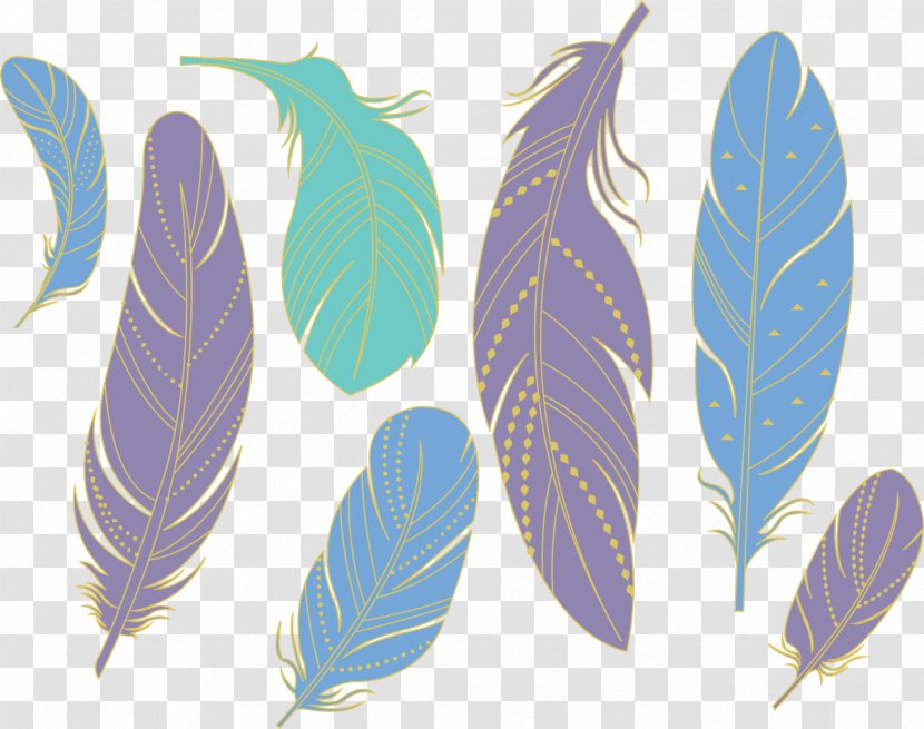 Feather Download - Color - Vector Hand-painted Feathers Transparent PNG