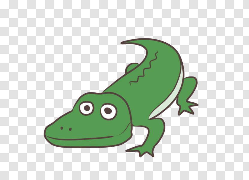 Frog Crocodiles Turtle Snakes Sauria - Amphibians Transparent PNG