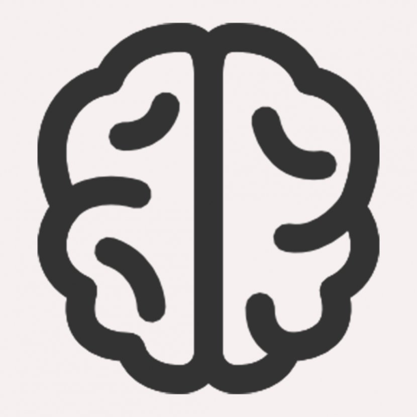 Brain - Human - Bar Transparent PNG