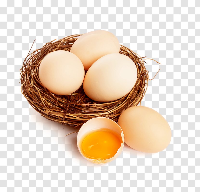 Egg White - Nest Eggs Transparent PNG