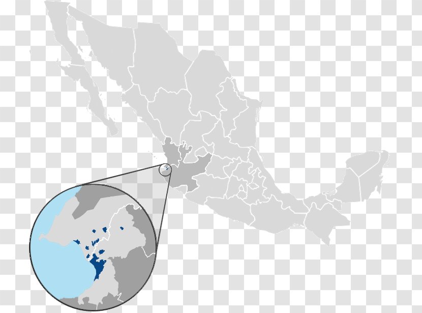 Licenciado Gustavo Díaz Ordaz International Airport Metropolitan Areas Of Mexico Zona Metropolitana De Puerto Vallarta Nayarit Tamaulipas - Map Transparent PNG