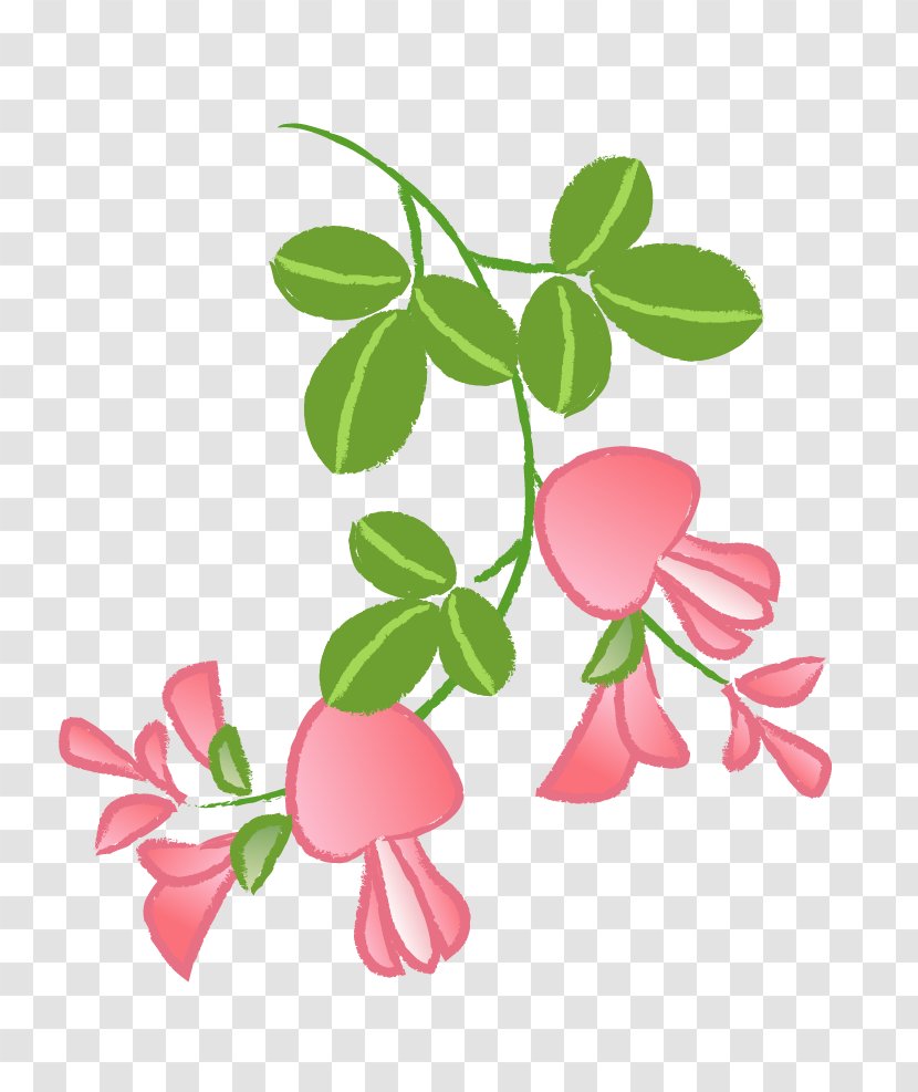 Petal Cut Flowers Floral Design Flowering Plant Stem - Leaf Transparent PNG