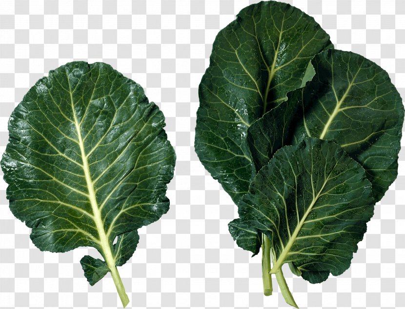 Cuisine Of The Southern United States Marrow-stem Kale Soul Food Leaf Vegetable - Green Salad Image Transparent PNG