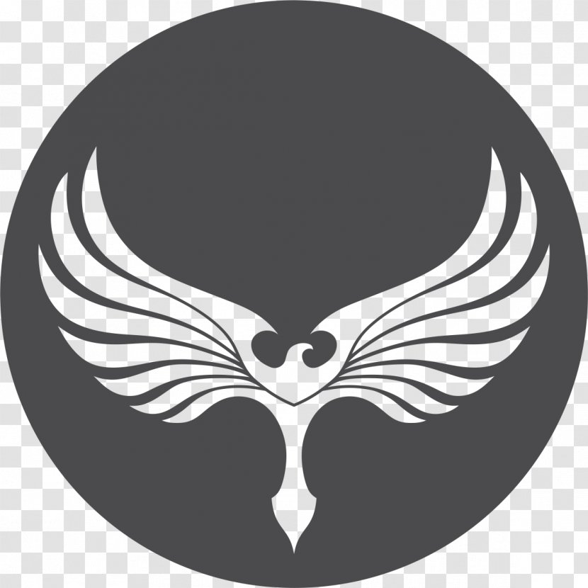 The Phoenix Foundation - Portafolis Transparent PNG