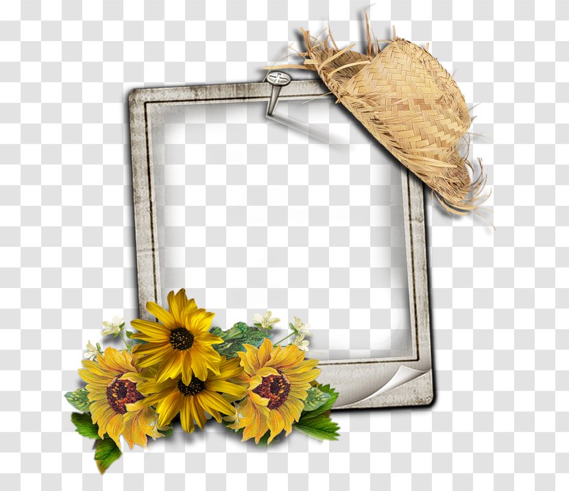 Picture Frames Photography TinyPic - Idea - Cornici Transparent PNG