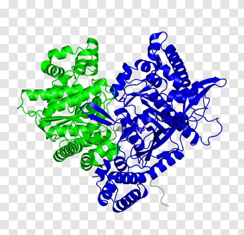 NiFe Hydrogenase Enzyme Hydrogen Production Alkaline Phosphatase - Nickel - Glycogen Phosphorylase Transparent PNG