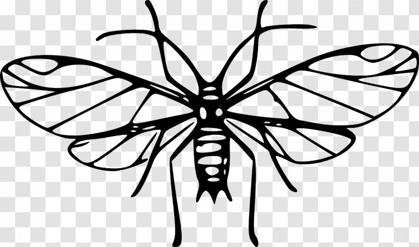 Mosquito Clip Art - Arthropod Transparent PNG