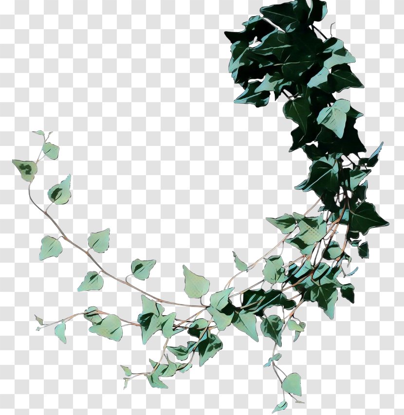 Drawing Of Family - Tree - Ivy Transparent PNG