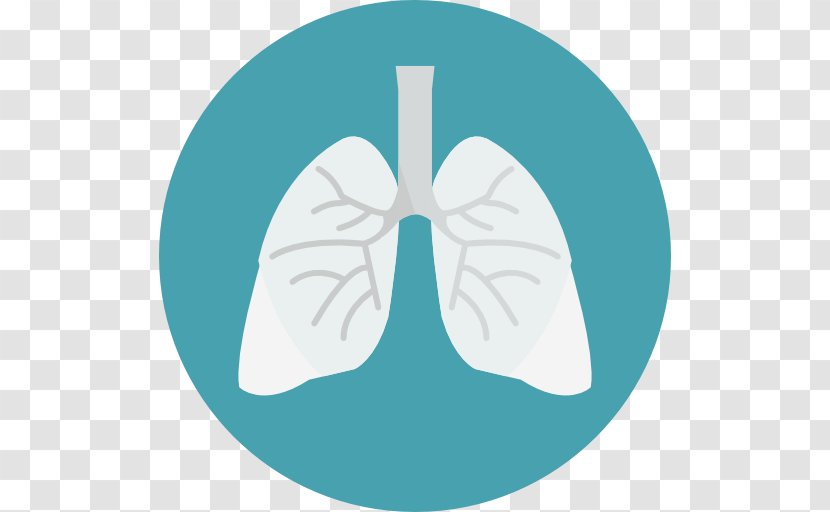 Lung - Cartoon - Vector Transparent PNG