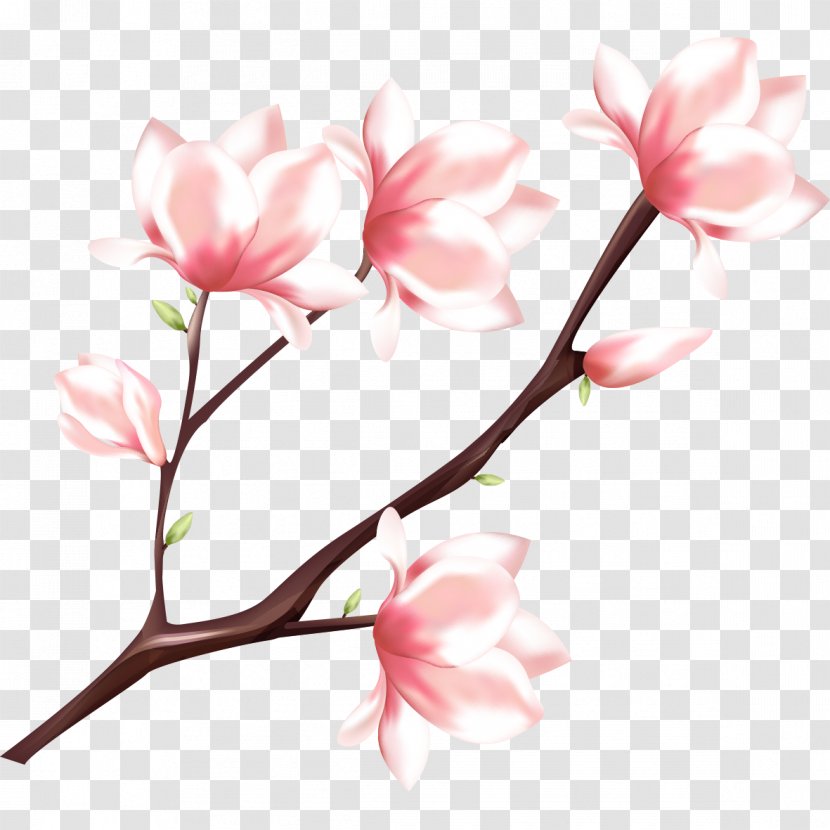 Peach Watercolor Painting - Plant Stem - Blossom Transparent PNG