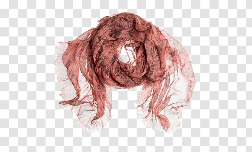 Drawing Carnivora /m/02csf Scarf - Costume Design - Head Transparent PNG