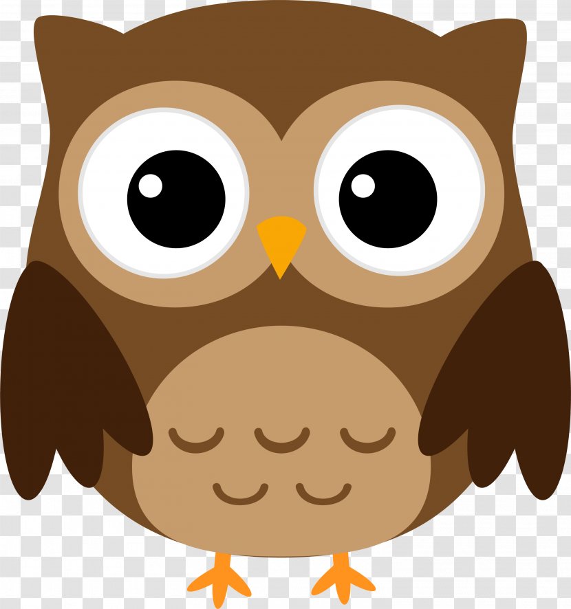 Owl Halloween Cuteness Clip Art - Beak - Brown Transparent PNG