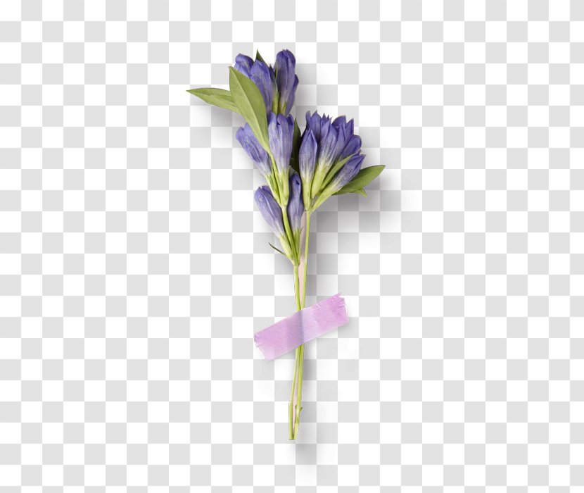 Cut Flowers Purple Flower Bouquet Transparent PNG