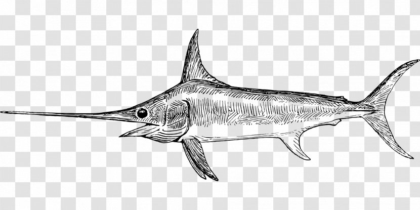Swordfish Drawing Line Art Clip - Longline Fishing Transparent PNG