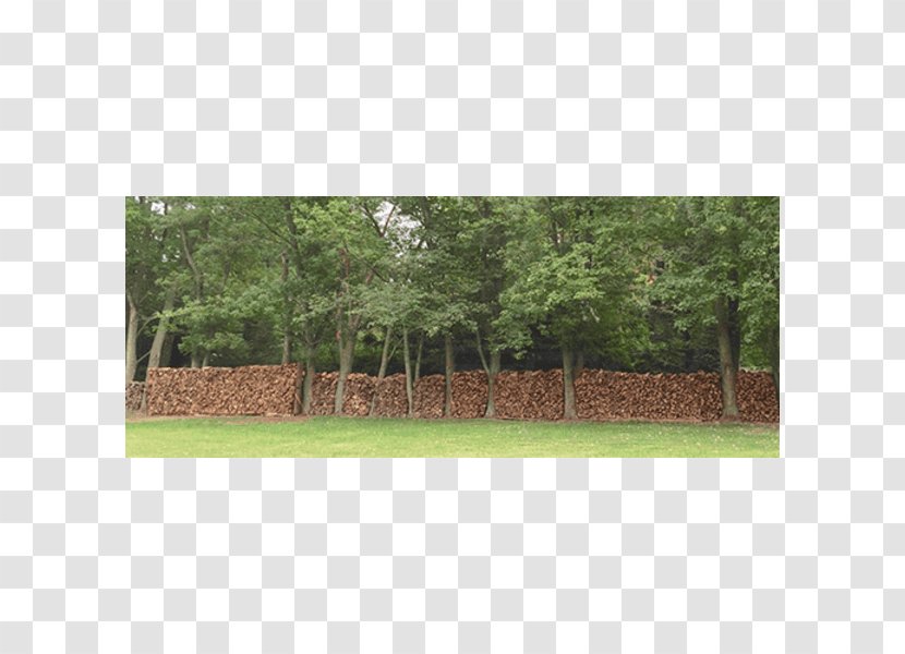 Fence Property Land Lot Pasture Tree - Real - Stack Of Wood Transparent PNG