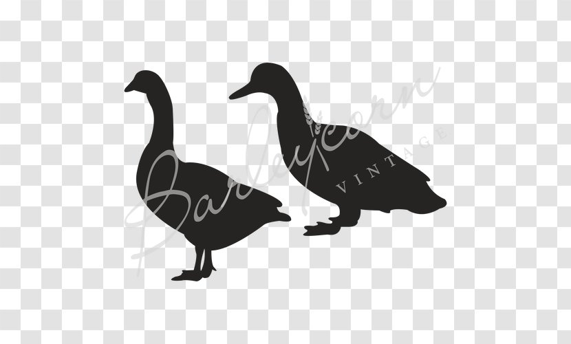 Duck Goosey Gander Stencil Schablone Transparent PNG