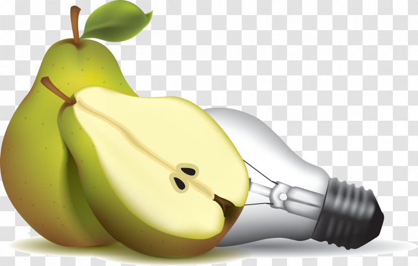 Bosc Pear Drawing Clip Art Transparent PNG