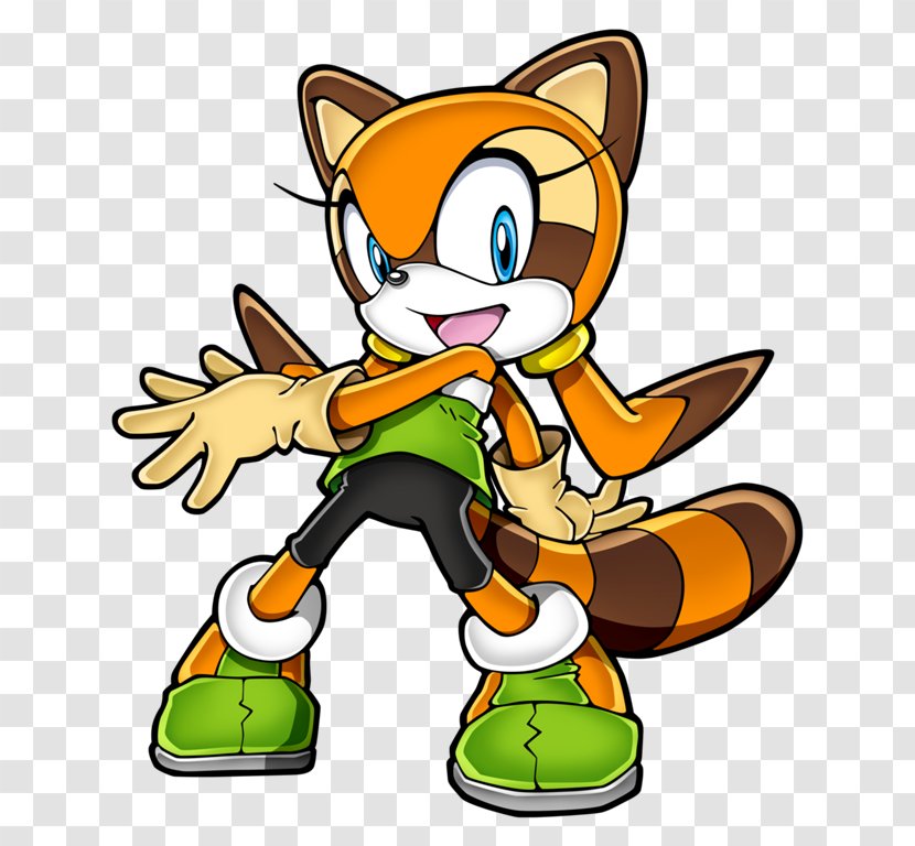 Sonic Rush Adventure The Hedgehog Tails Raccoon Cream Rabbit - Voiceover - Racoon Pic Transparent PNG