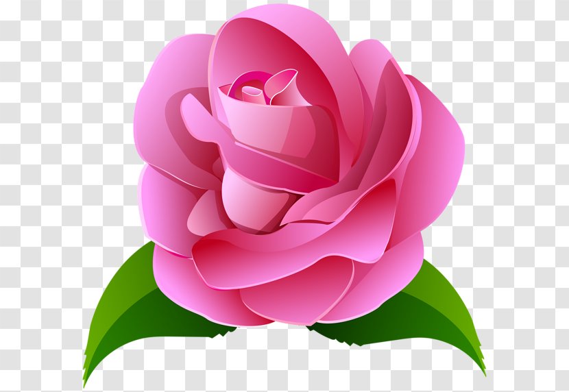 Rose Pink Painting Clip Art - Family Transparent PNG
