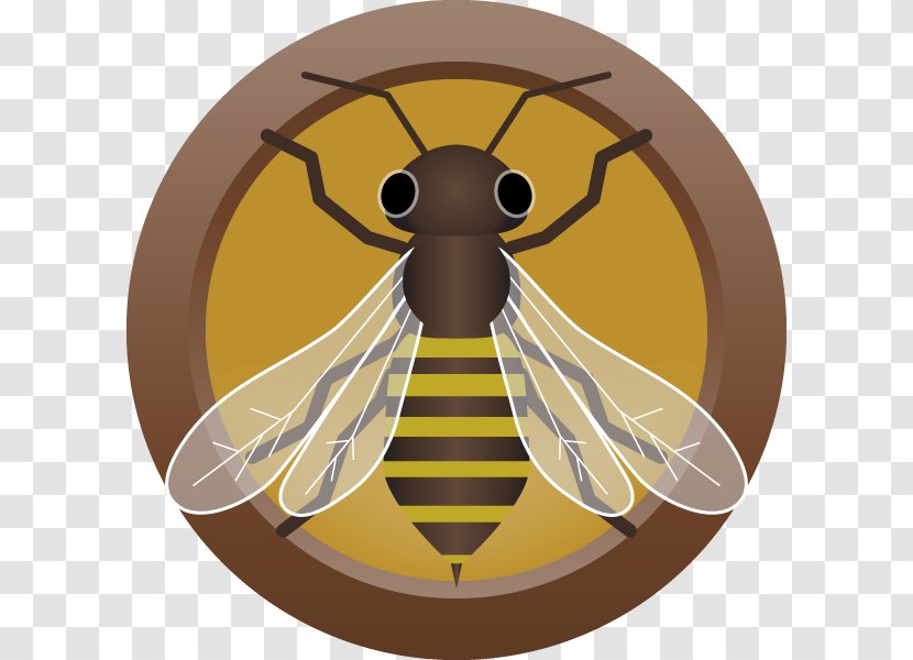 Honey Bee Mead Beer Ale Juice - Arthropod - Extractor Transparent PNG