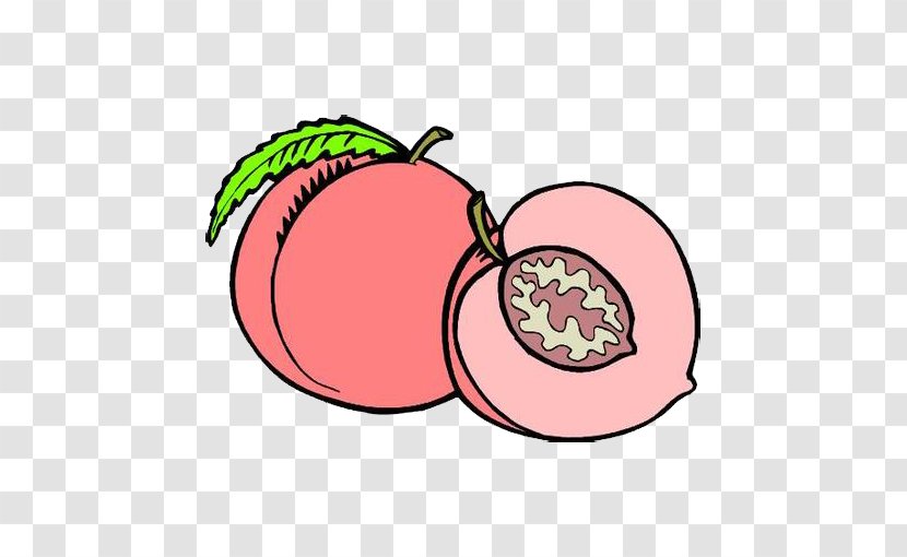 Cartoon - Coreldraw - Pink Peach Transparent PNG