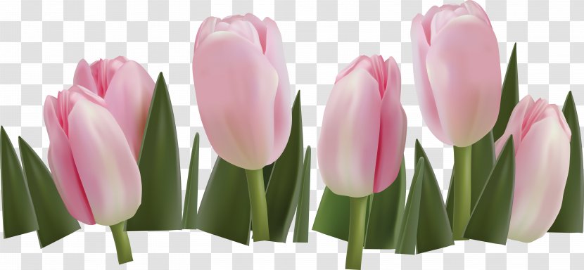 Border Flowers Tulip Floral Design Clip Art - Stock Photography Transparent PNG