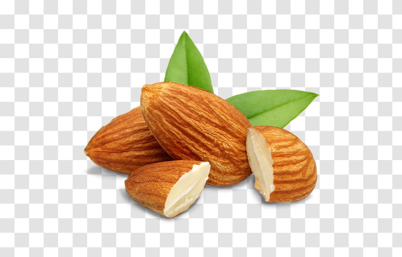 Nut Organic Food Almond Milk Flavor - Superfood Transparent PNG