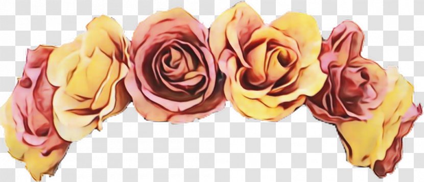 Garden Roses - Plant - Petal Orange Transparent PNG