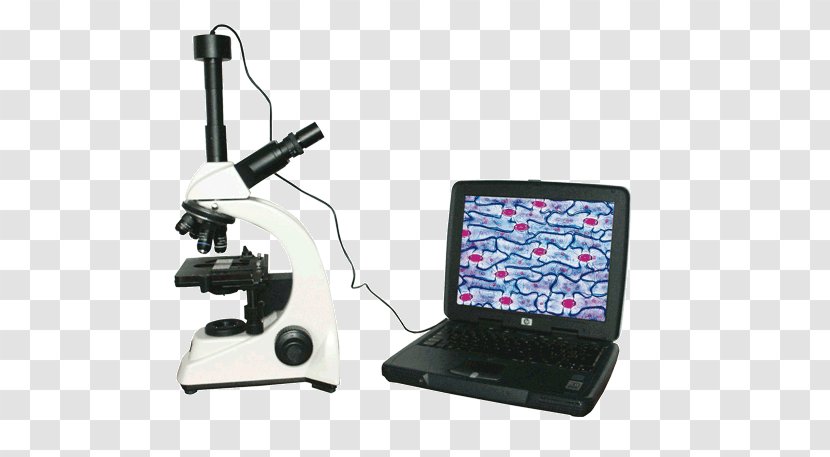 Optical Microscope Digital Cameras - Technology Transparent PNG