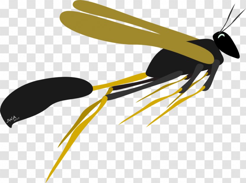 Insect Propeller Clip Art - Fly Transparent PNG