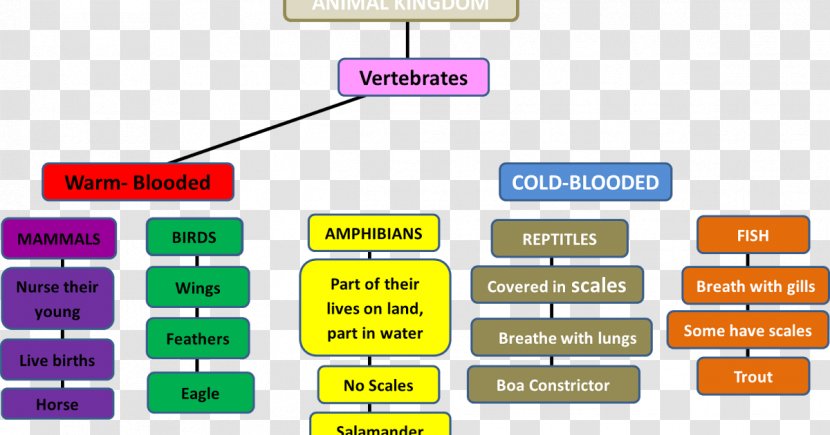 Concept Map Dye Sulfone - Science - Conceptual Transparent PNG